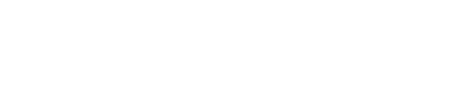 MagenDavidWorldHumanRights